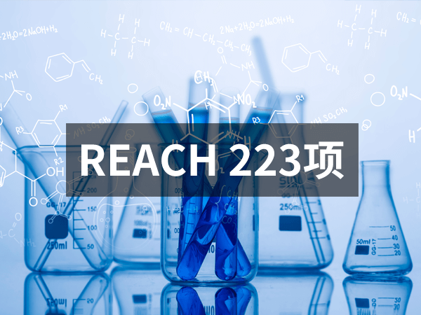 REACH223(1)-PX600X450.png
