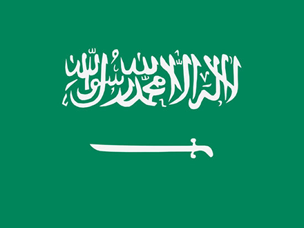 沙特推遲RoHS實(shí)施日期 沙特推遲RoHS實(shí)施日期