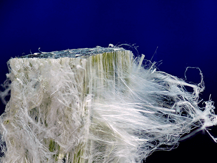 石棉禁令 石棉禁令